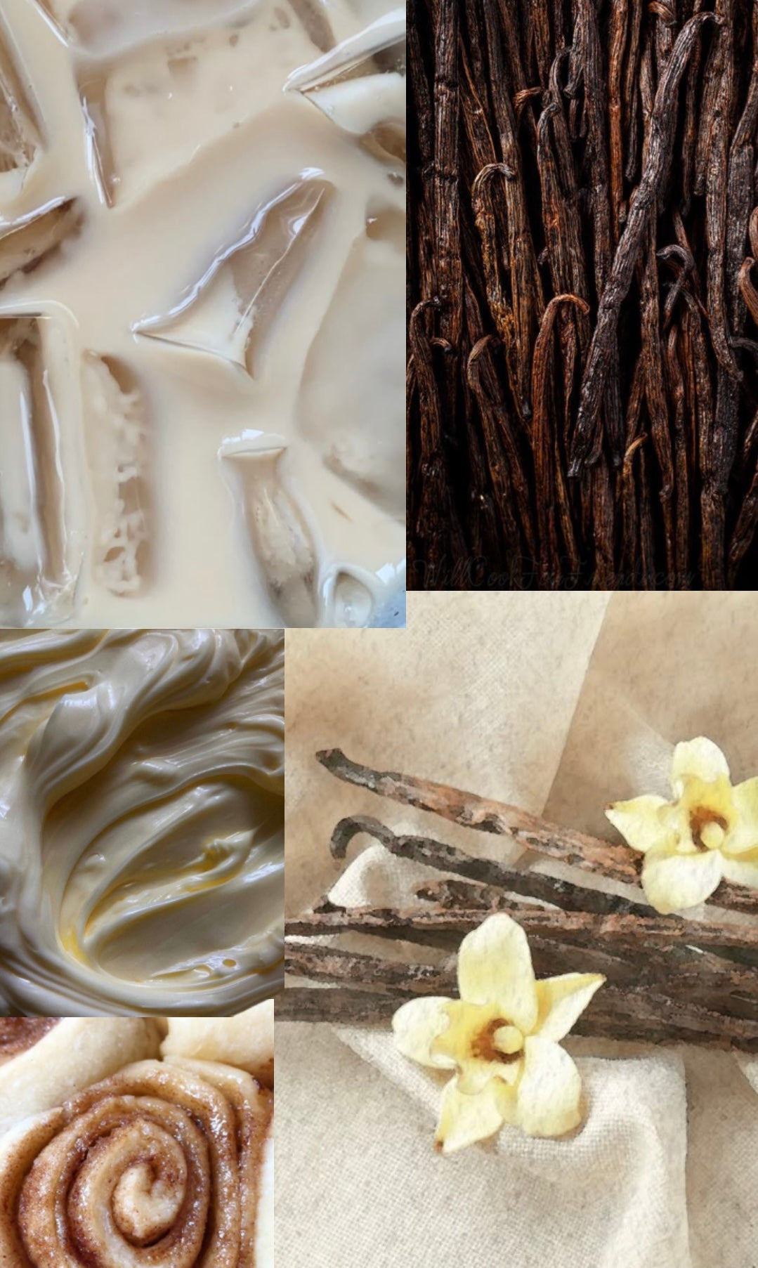 The Ultimate Gourmand Vanilla Collection by Boscents