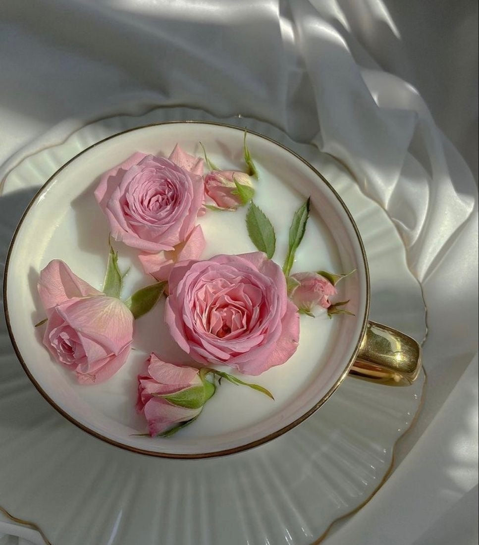 Milky Rose Layering Combo