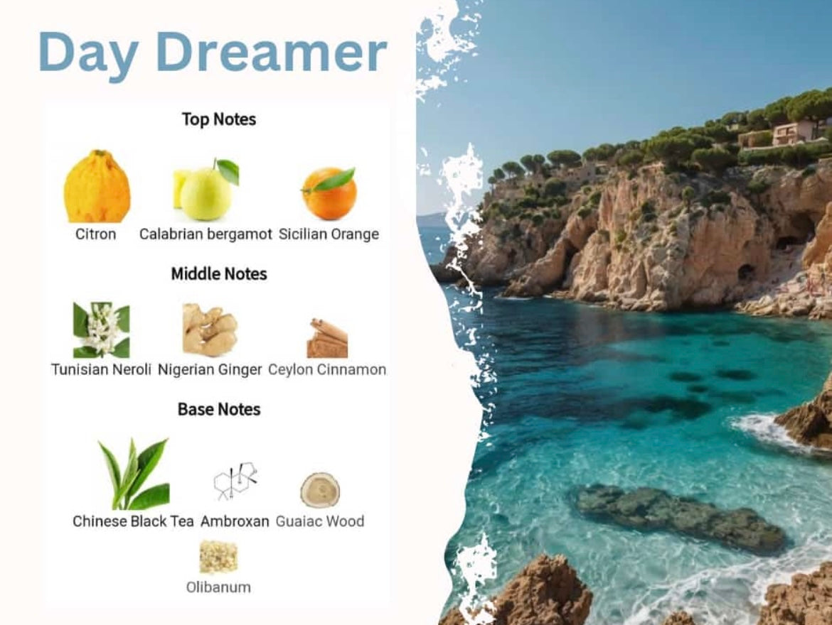 Day Dreamer