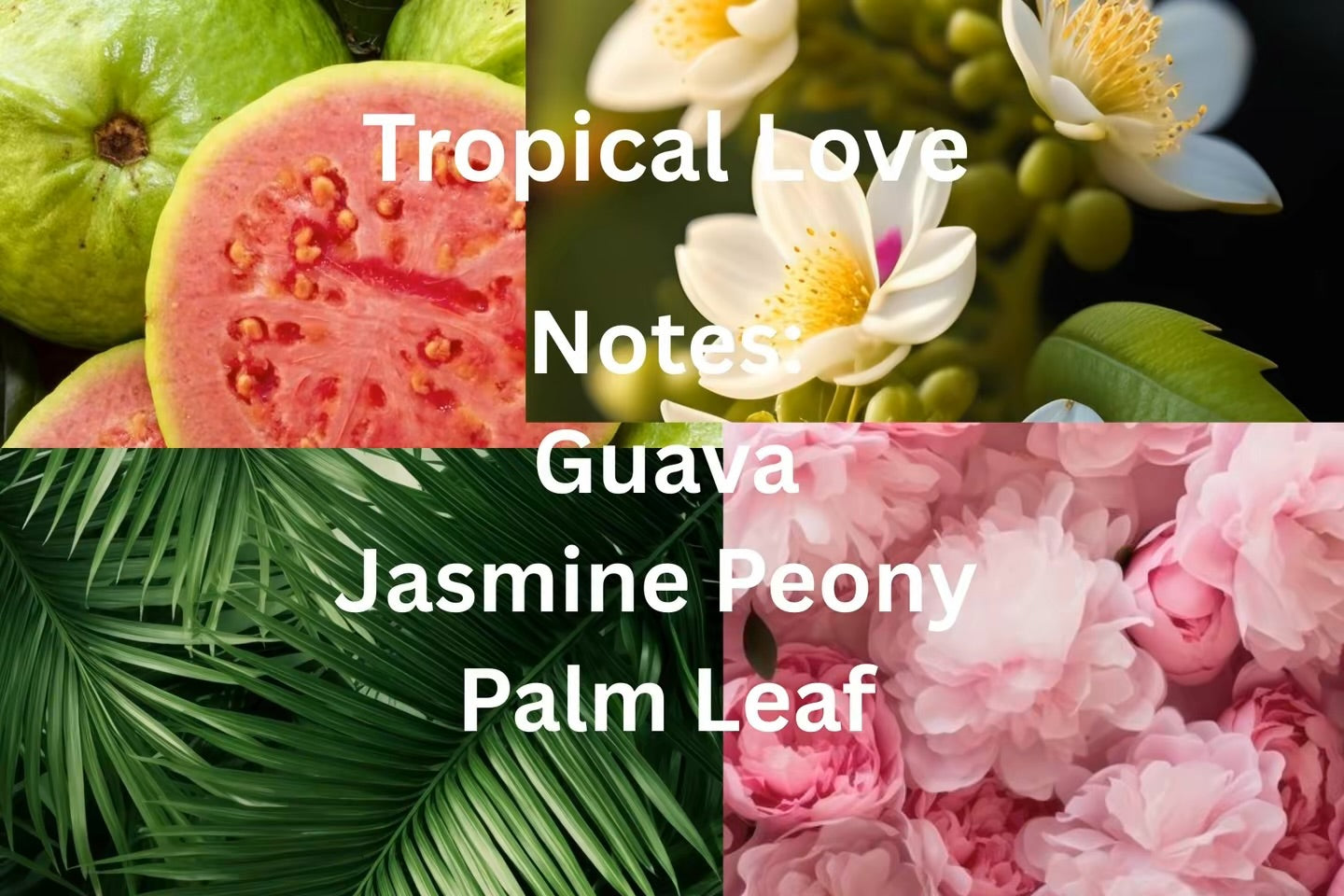 Tropical Love
